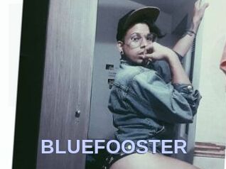 BLUEFOOSTER