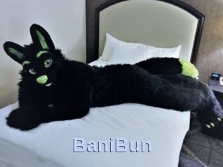 BaniBun