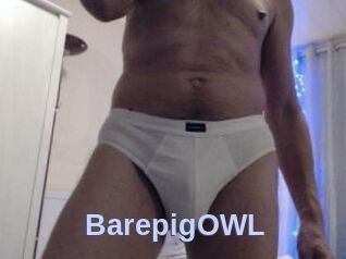 BarepigOWL