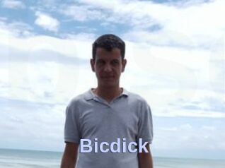Bicdick