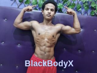 BlackBodyX
