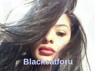 Blackcatforu