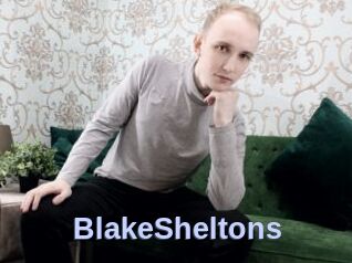 BlakeSheltons