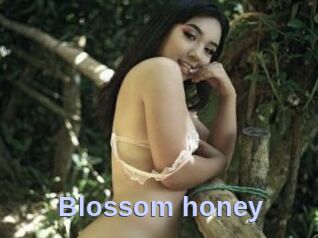 Blossom_honey