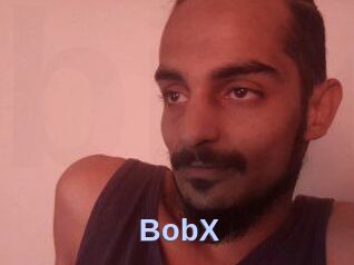 BobX