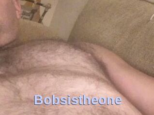 Bobsistheone