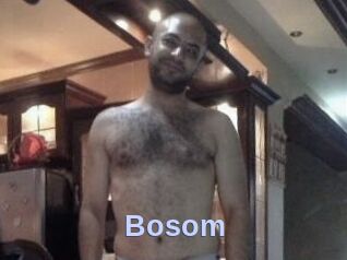 Bosom