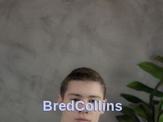 BredCollins