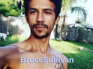 Bruce_Sullivan