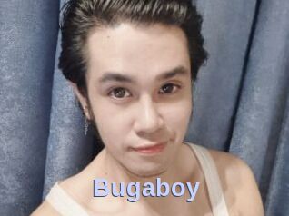 Bugaboy