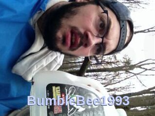 BumbleBee1993