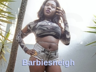 Barbiesneigh