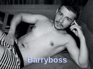 Barryboss