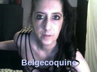 Belgecoquine