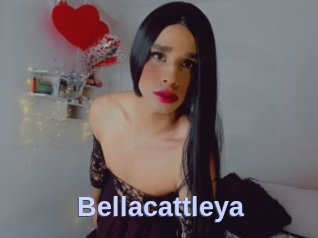 Bellacattleya