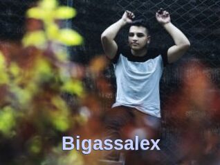 Bigassalex