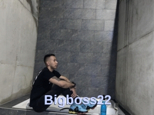 Bigboss22