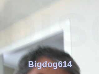 Bigdog614