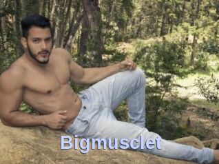 Bigmusclet