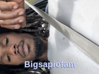 Bigsapiofam