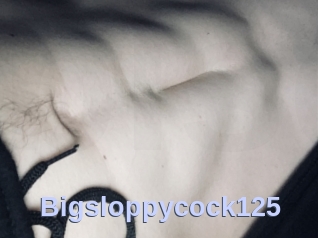 Bigsloppycock125