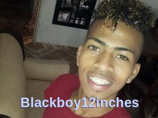 Blackboy12inches