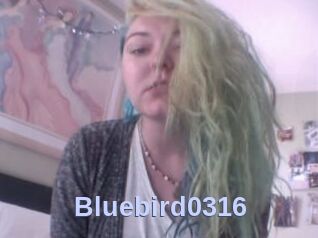 Bluebird0316