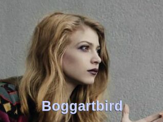 Boggartbird