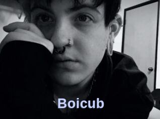Boicub
