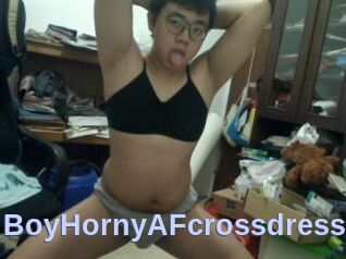 BoyHornyAFcrossdress