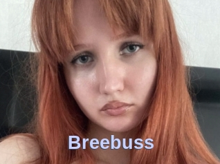 Breebuss