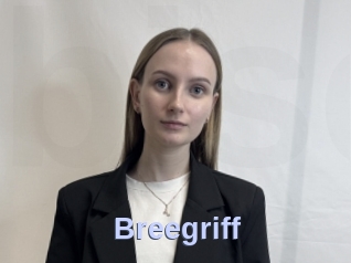 Breegriff