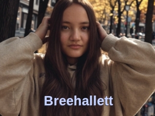 Breehallett