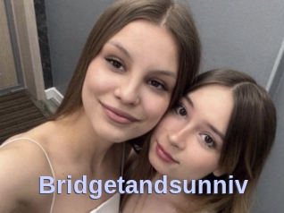 Bridgetandsunniv
