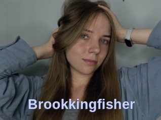 Brookkingfisher
