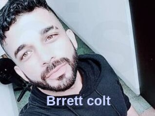 Brrett_colt