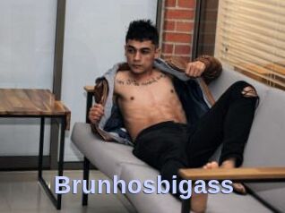 Brunhosbigass