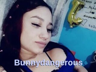 Bunnydangerous