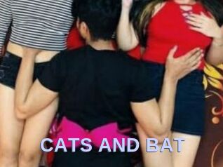 CATS_AND_BAT