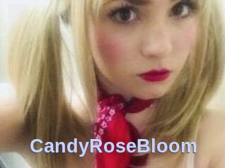 CandyRoseBloom