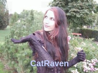 CatRaven