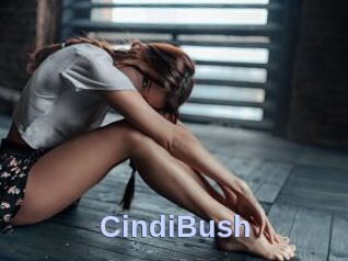 CindiBush