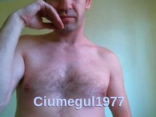 Ciumegul1977