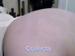 Collecta