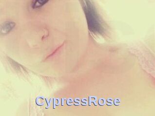 Cypress_Rose