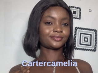 Cartercamelia
