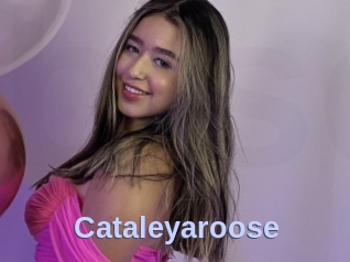 Cataleyaroose