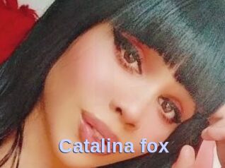 Catalina_fox