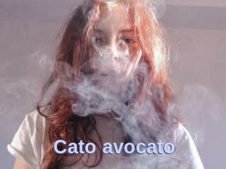 Cato_avocato