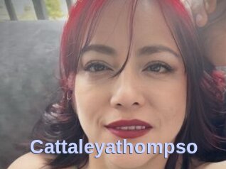 Cattaleyathompso